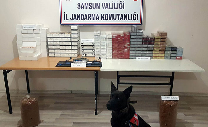 Samsun'da jandarma ekipleri operasyon düzenledi