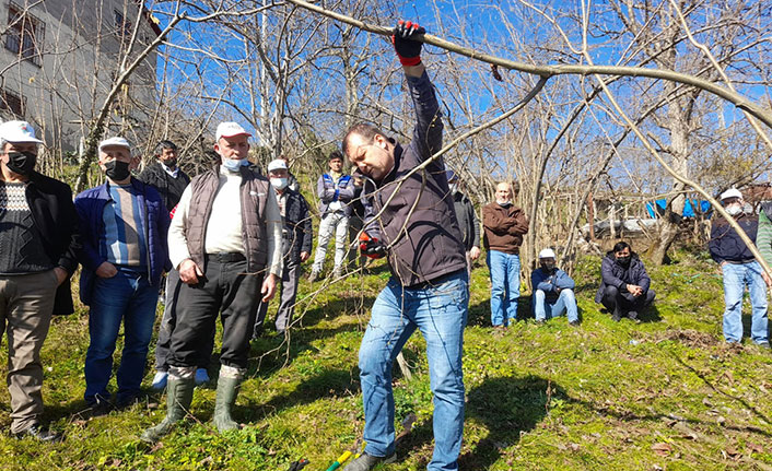 Giresun'da fındık üreticisine eğitim veriliyor