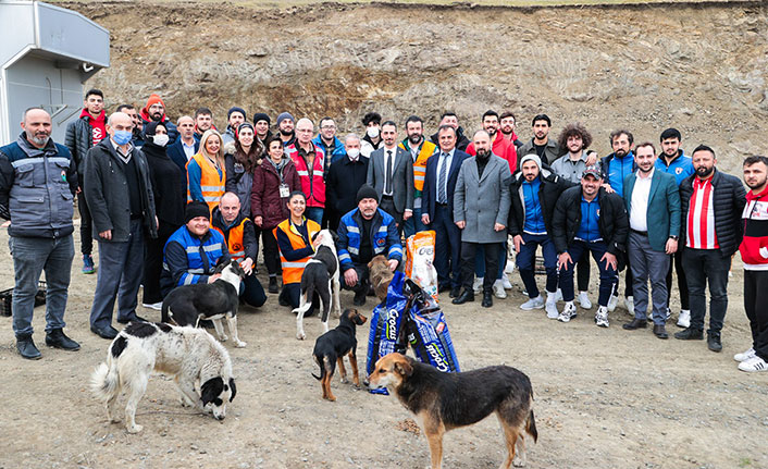 Futbol ve basketbolculardan sokak hayvanlarına destek