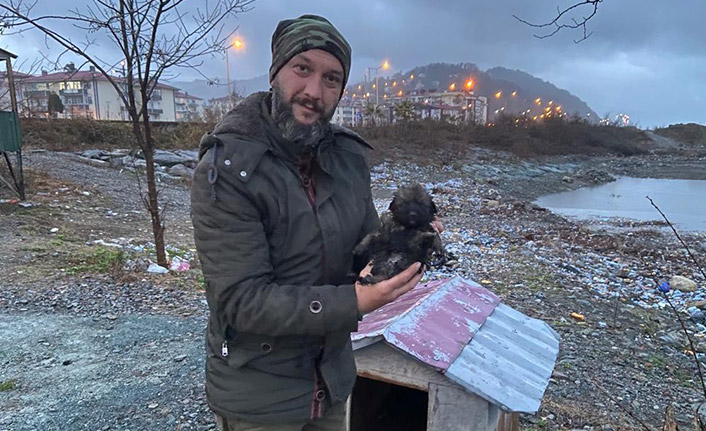 Artvin'de deniz kenarında doğuran köpek için seferberlik