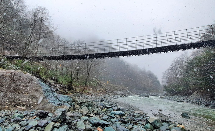 Artvin’de define avcıları dereyi köstebek yuvasına çevirdi