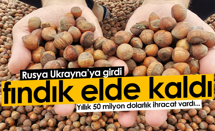 Rusya Ukrayna'ya girdi, fındıklar elde kaldı!