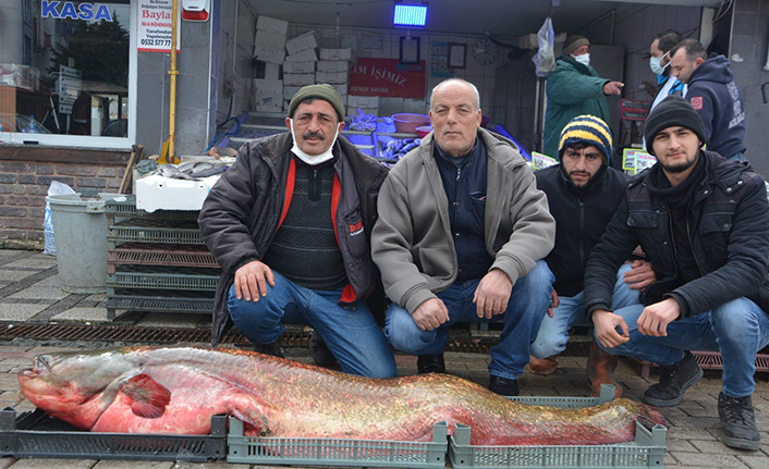 Dev yayın balığı görenleri hayrete düşürdü