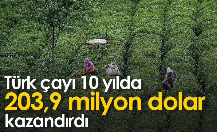 Türk çayından 10 yılda 203,9 milyon dolar gelir