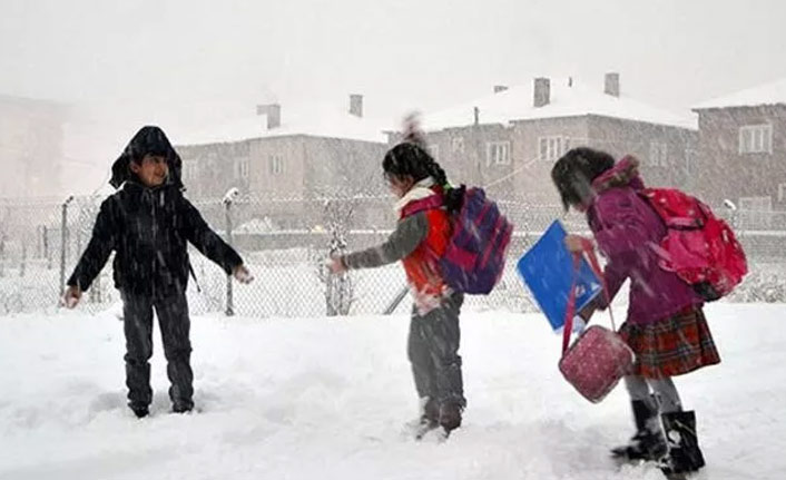 Ordu'da okullar tatil mi? Açıklama geldi