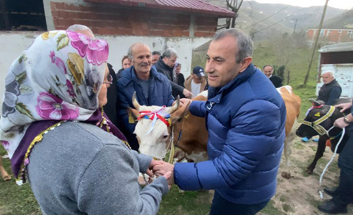 Heyelanda havyanlarını kaybeden çifte inek yardımı