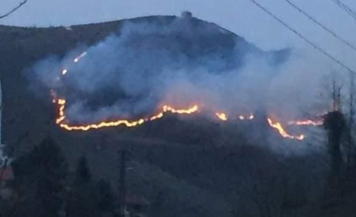 Giresun'da fırtına yangına neden oldu