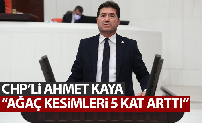 Chp’li Ahmet kaya: Ormanlardaki Ağaç kesimleri 5 kat arttı!