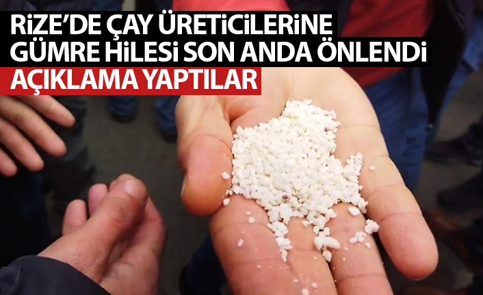 Rize'de çay üreticilerine gübre yerine mermer tozu satmaya çalıştılar