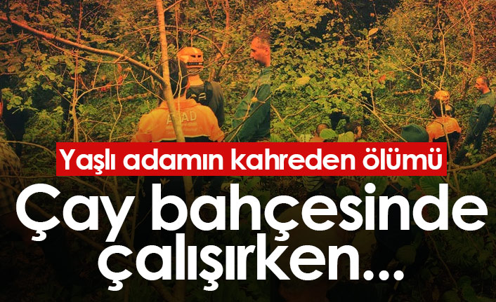 Yaşlı adam çay bahçesinde çalışırken uçuruma yuvarlandı