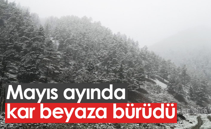 Mayıs ayında kar beyaza bürüdü