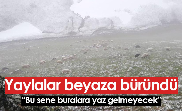 Bayburt - Trabzon arasındaki yaylalarda kar yağdı