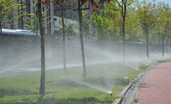 Samsun'da sivrisineklere ilaçlama başlatıldı!