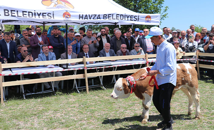 Havza'da anlamlı yayla şenliği