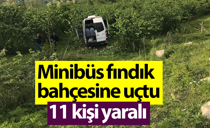 Ordu'da minibüs fındık bahçesine uçtu! 11 kişi yaralı