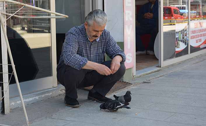 Ordu’da berberin güvercinlerle dostluğu