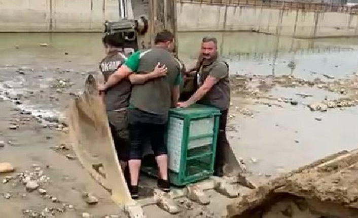 Yaralı karaca ekipler tarafından kurtarıldı