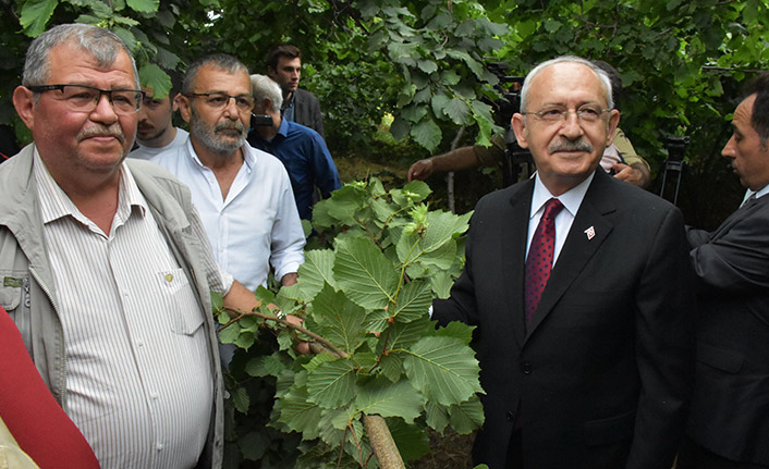 Kemal Kılıçdaroğlu Ordu'da: Fındık stratejik ürün olarak kabul edilmeli - 09 Haziran 2022