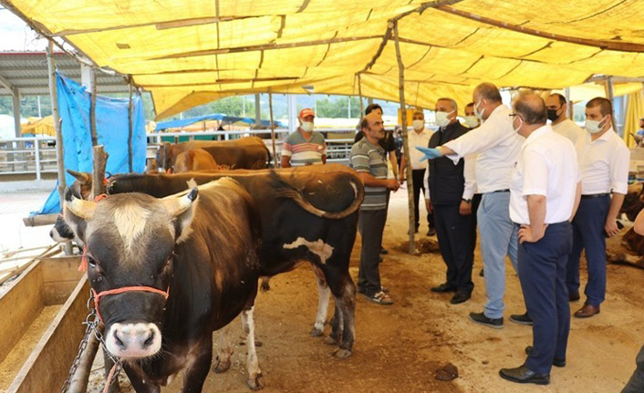 Kurbanlık alış satış ve kesimlerinde dikkat edilecek hususlar