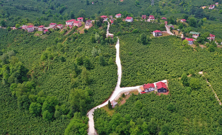 Ordu'da beton yol çalışmaları tamamlanıyor