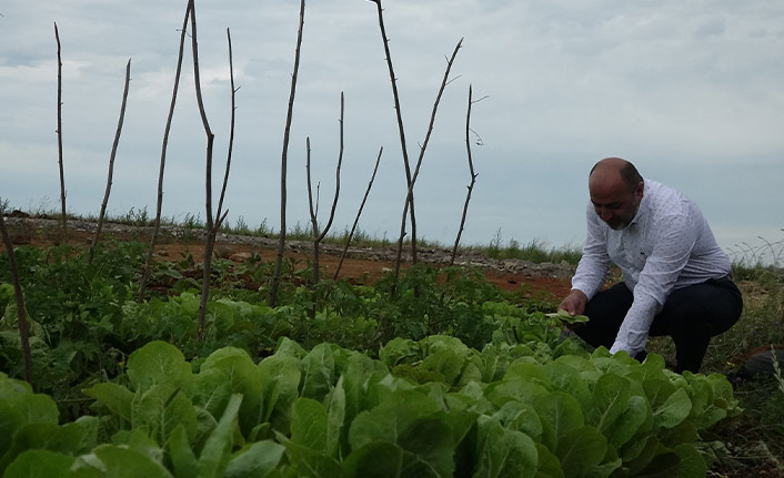 Trabzon'da dolgu alan hobi bahçesine dönüştü