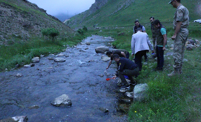 Şehrin derelerine binlerce alabalık bırakıldı