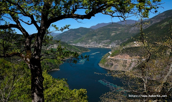 Artvin'deki 'ekoturizm yolu' ziyaretçilerini bekliyor