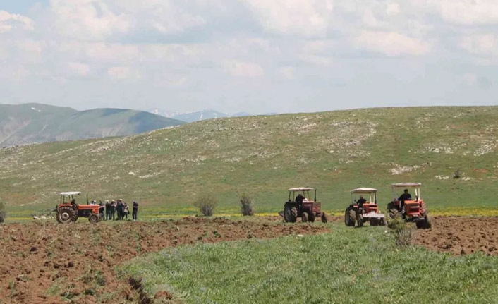 Atıl araziler üretime kazandırılıyor