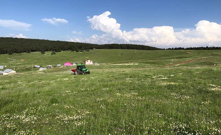 Meralarda yürütülen ıslah çalışmaları ot verim ve kalitesini artırdı