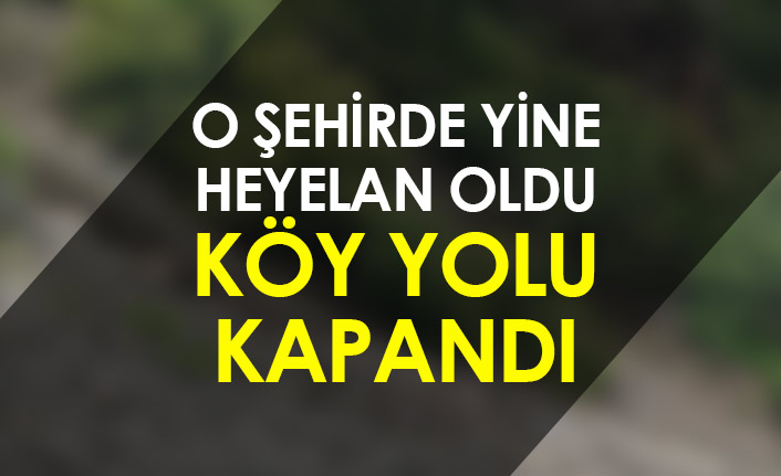 O şehirde yine heyelan oldu! Köy yolu kapandı