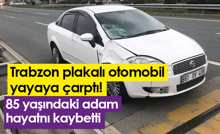 Trabzon plakalı araç yayaya çarptı! 85 yaşındaki adam hayatını kaybetti