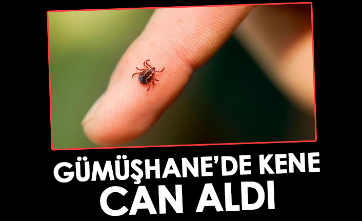 Gümüşhane'de kene can aldı!