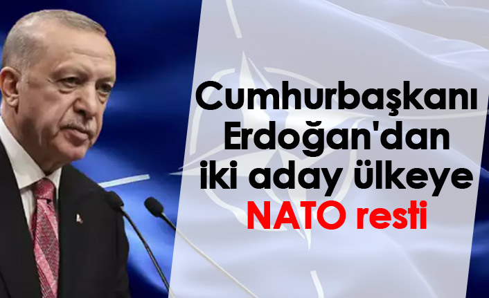 Cumhurbaşkanı Erdoğan'dan iki aday ülkeye NATO resti