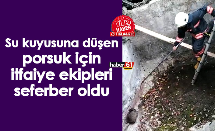 Su kuyusuna düşen porsuk için itfaiye ekipleri seferber oldu