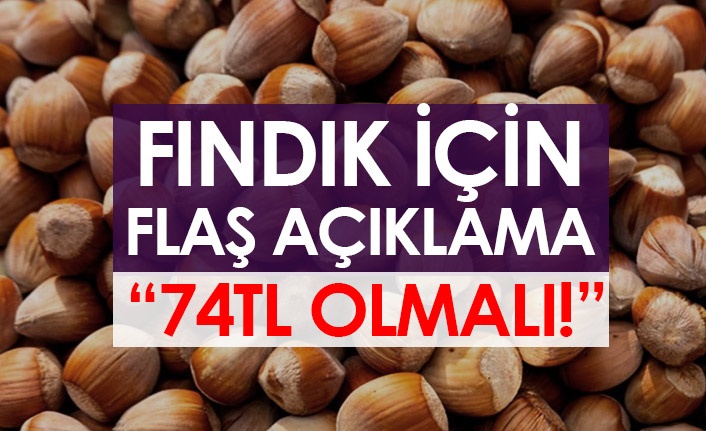 Fındık için flaş açıklama: 74 TL olmalı! - 20 Temmuz 2022