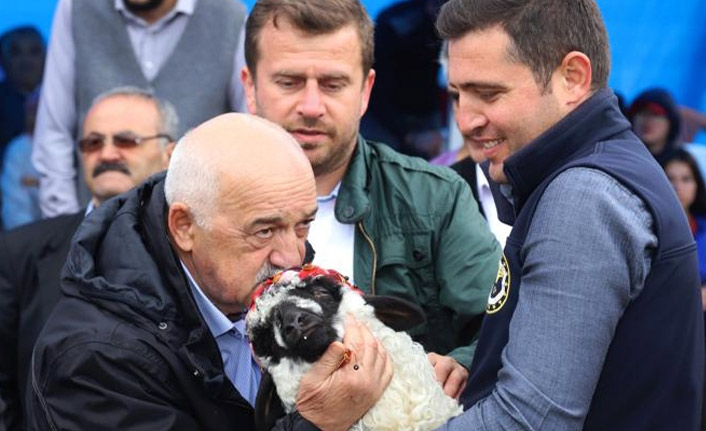 Geleneksel Çambaşı Yayla Festivali renkli görüntülere sahne oldu