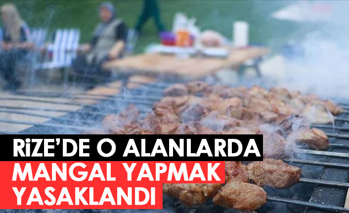 Rize'de o alanlarda mangal yapmak yasaklandı