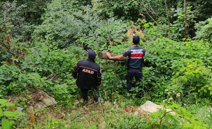 Artvin'de çay toplarken kaybolan kişi bulundu