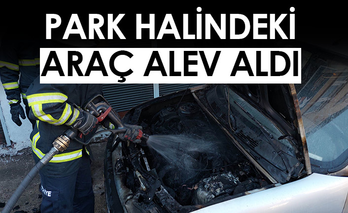 Park halindeki araç alev aldı