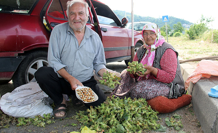 Yeni sezon fındığı yol kenarlarında satışa çıktı