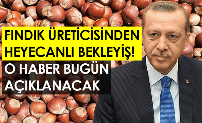 Fındık üreticisinden heyecanlı bekleyiş! O haber bugün açıklanacak