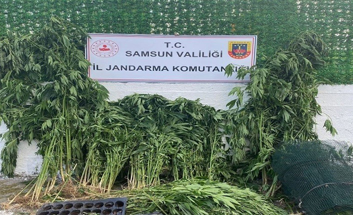 Samsun'da çok sayıda uyuşturucu madde ele geçirildi