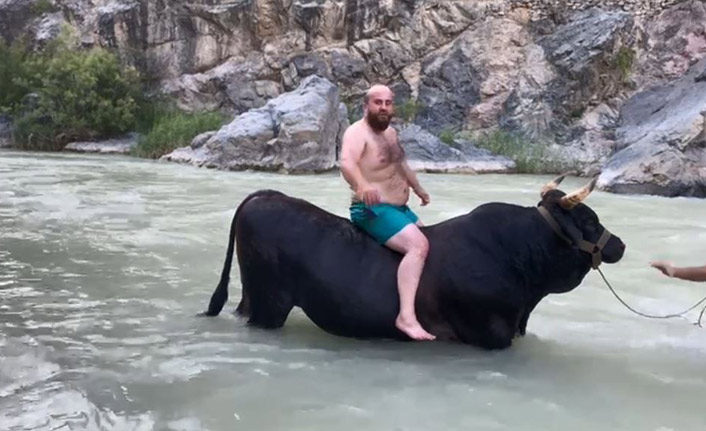 Tonluk boğasıyla Çoruh Nehri'ni yüzerek karşıdan karşıya geçti