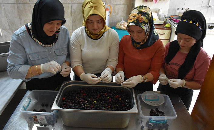 Karadenizli kadınlar tescilli lezzet "taflan turşusu"nun yapımına başladı