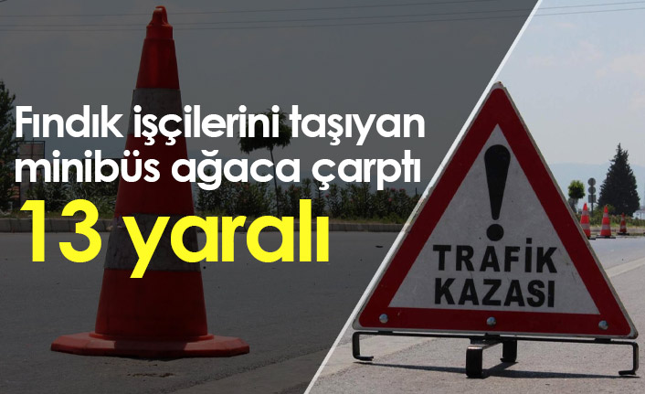 Fındık işçilerini taşıyan minibüs ağaca çarptı, 13 yaralı