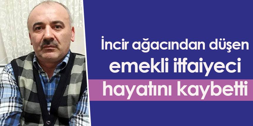 Samsun'da incir ağacından düştü! Hayatını kaybetti