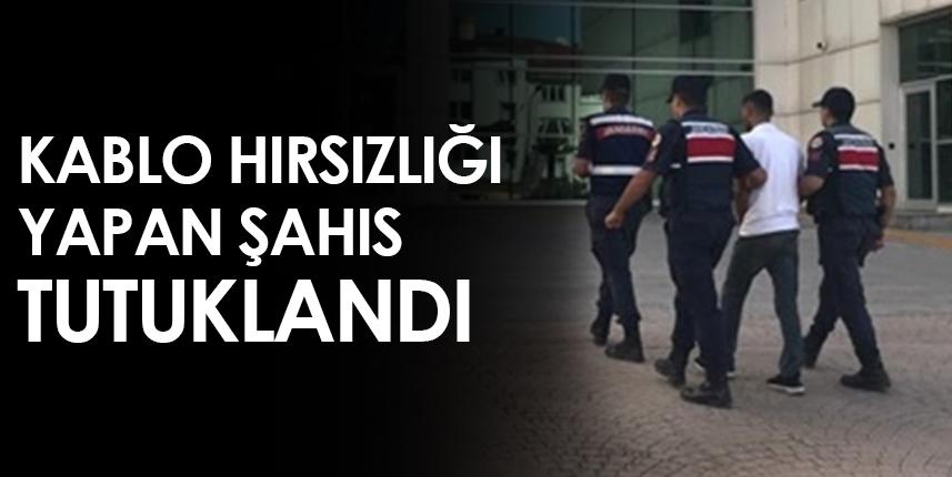 Ordu'da kablo hırsızlığı yapan şüpheli tutuklandı