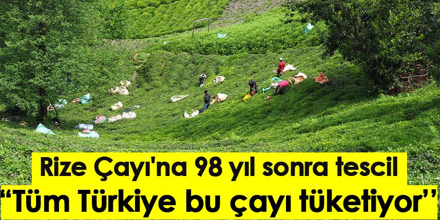 Rize Çayı'na 98 yıl sonra tescil "Tüm Türkiye bu çayı tüketiyor"