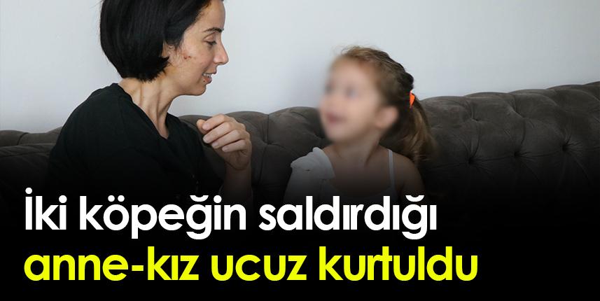 Samsun'da iki köpeğin saldırdığı anne-kız ucuz kurtuldu