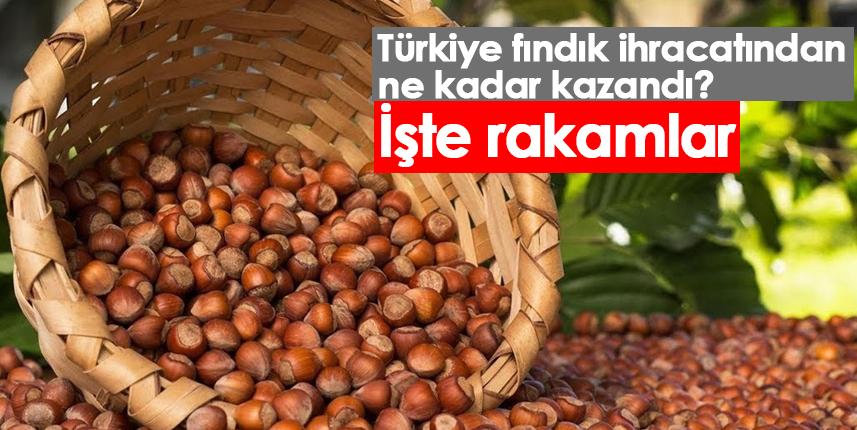 Türkiye fındık ihracatından ne kadar kazandı? İşte rakamlar